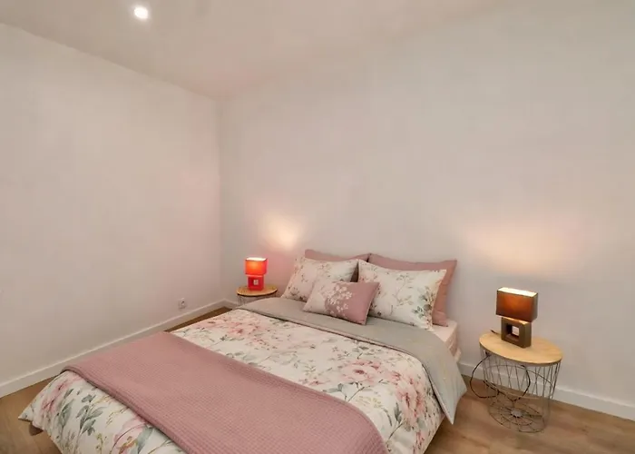 Apartment T3 Tres Lumineux *